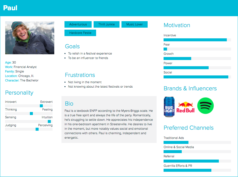 User Persona Example