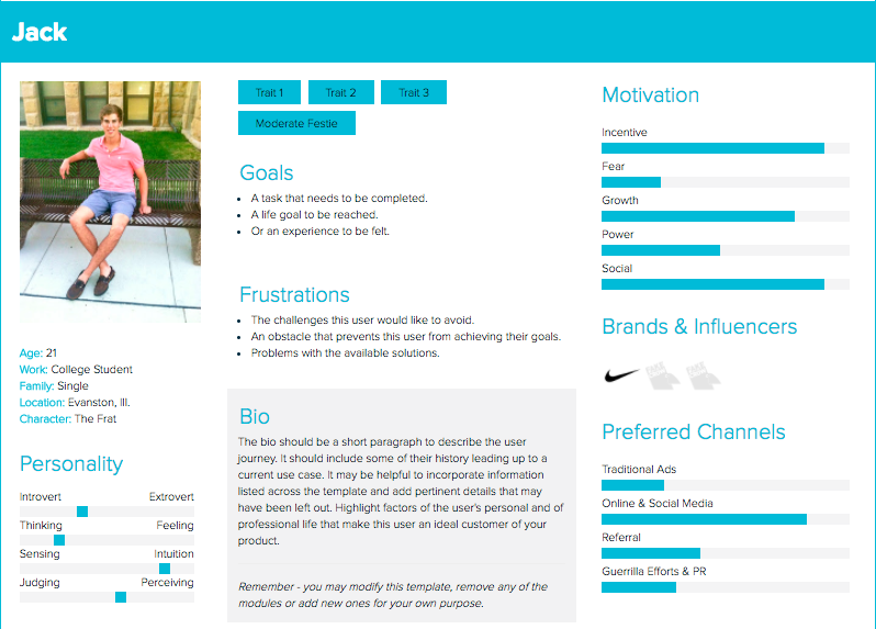 User Persona Example